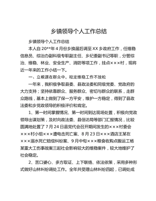 乡镇领导个人工作总结.docx