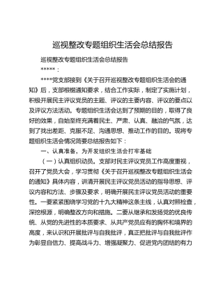 巡视整改专题组织生活会总结报告.docx