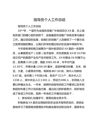 指导员个人工作总结.docx