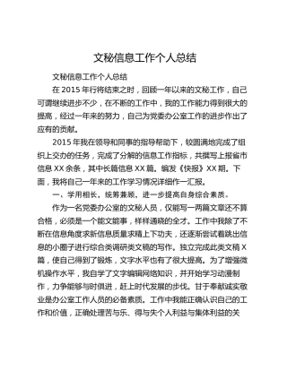 文秘信息工作个人总结.docx