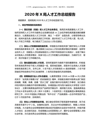 2020年X局人才工作总结报告.docx