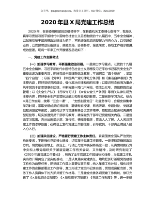 2020年县X局党建工作总结.docx