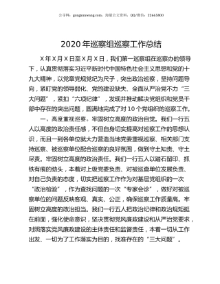 2020年巡察组巡察工作总结.docx