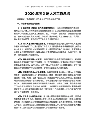 2020年度X局人才工作总结.docx