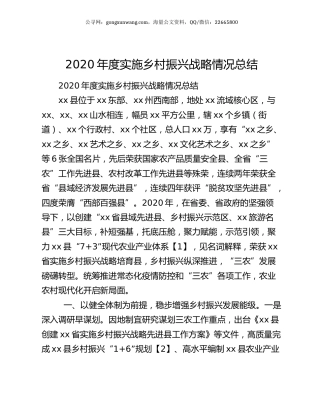 2020年度实施乡村振兴战略情况总结.docx