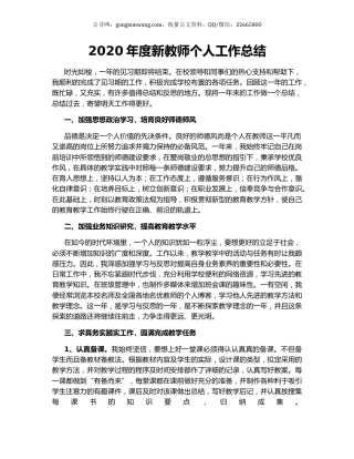 2020年度新教师个人工作总结.docx