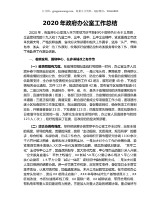 2020年政府办公室工作总结.docx