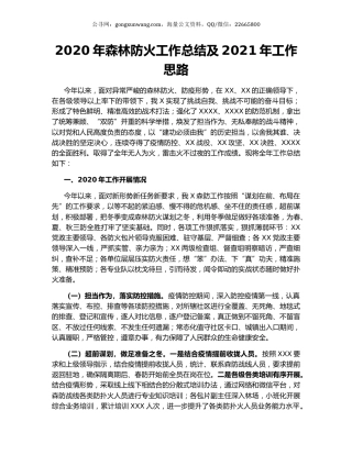 2020年森林防火工作总结及2021年工作思路.docx