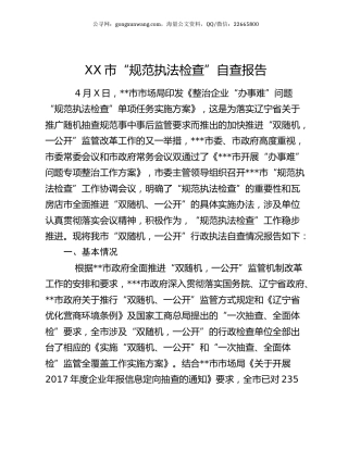 XX市“规范执法检查”自查报告.docx