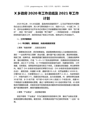 X乡政府2020年工作总结及2021年工作计划.docx