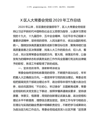 X区人大常委会党组2020年工作总结.docx