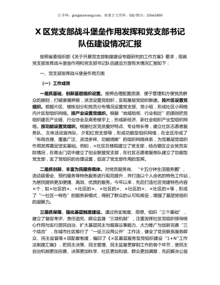 X区党支部战斗堡垒作用发挥和党支部书记队伍建设情况汇报.docx