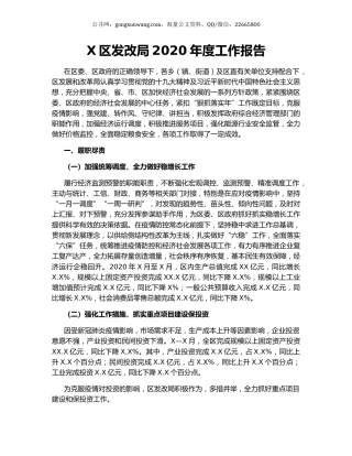 X区发改局2020年度工作报告.docx