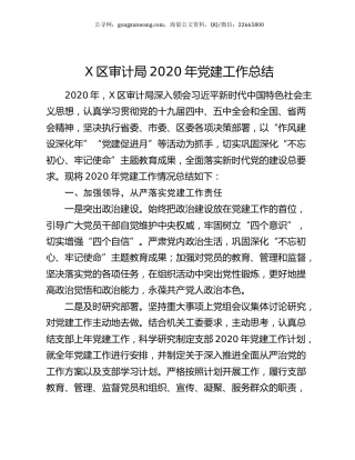 X区审计局2020年党建工作总结.docx