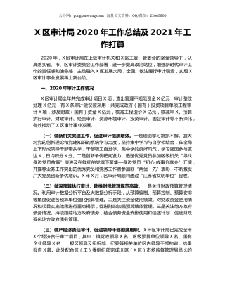 X区审计局2020年工作总结及2021年工作打算.docx