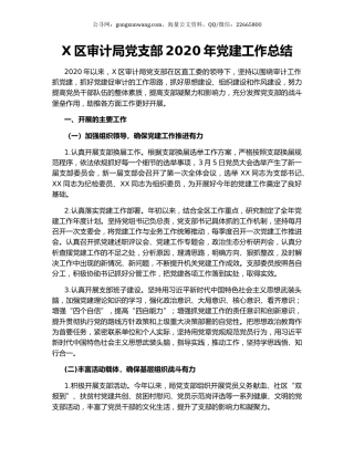 X区审计局党支部2020年党建工作总结.docx