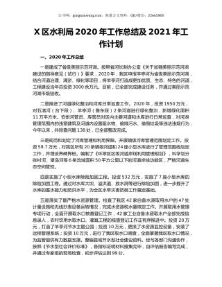 X区水利局2020年工作总结及2021年工作计划.docx