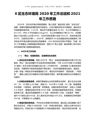 X区生态环境局 2020年工作总结和2021年工作思路.docx