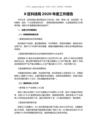 X区科技局2020年度工作报告.docx