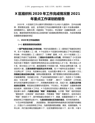X区组织科2020年工作完成情况暨2021年重点工作谋划的报告.docx