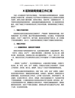 X区财政局党建工作汇报.docx
