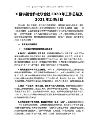X县供销合作社联合社2020年工作总结及2021年工作计划.docx