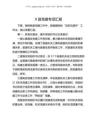 X县党建专项汇报.docx