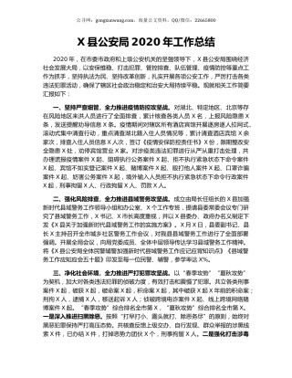 X县公安局2020年工作总结.docx