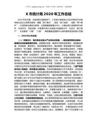 X市统计局2020年工作总结.docx