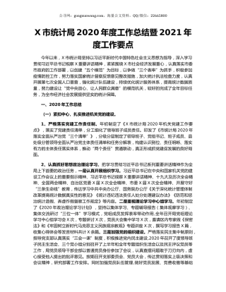 X市统计局2020年度工作总结暨2021年度工作要点.docx