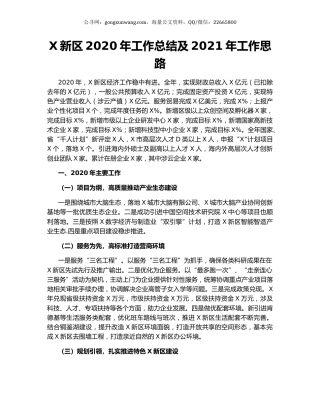 X新区2020年工作总结及2021年工作思路.docx