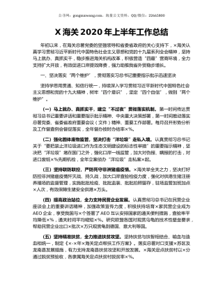 X海关2020年上半年工作总结.docx