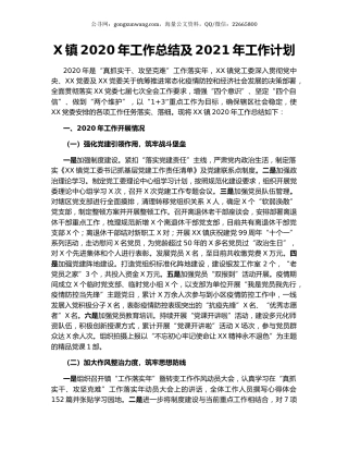 X镇2020年工作总结及2021年工作计划.docx