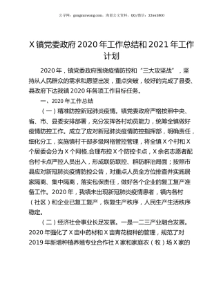 X镇党委政府2020年工作总结和2021年工作计划.docx