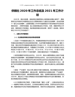 供销社2020年工作总结及2021年工作计划.docx