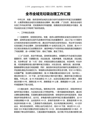 全市全域无垃圾治理工作汇报.docx