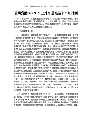 公司党委2020年上半年总结及下半年计划.docx