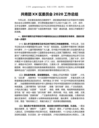 共青团XX区委员会2020工作总结.docx