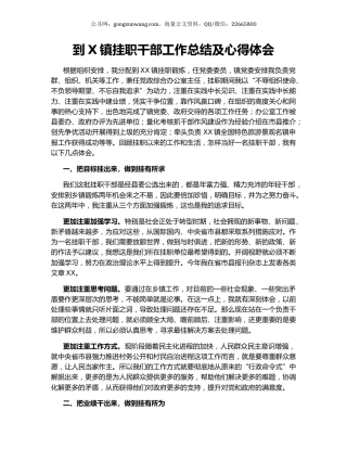 到X镇挂职干部工作总结及心得体会.docx