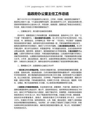 县政府办公室主任工作总结.docx