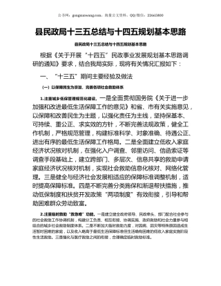 县民政局十三五总结与十四五规划基本思路.docx