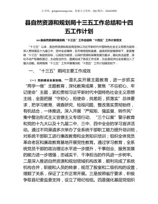 县自然资源和规划局十三五工作总结和十四五工作计划.docx