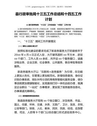 县行政审批局十三五工作总结和十四五工作计划.docx