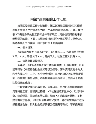 向第巡察组的工作汇报.docx