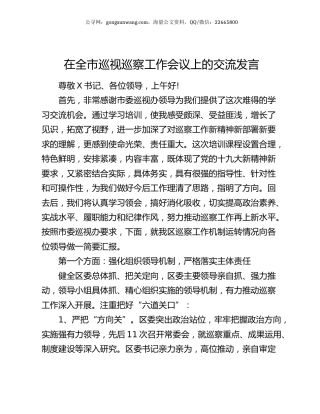 在全市巡视巡察工作会议上的交流发言.docx