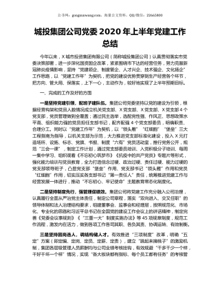 城投集团公司党委2020年上半年党建工作总结.docx