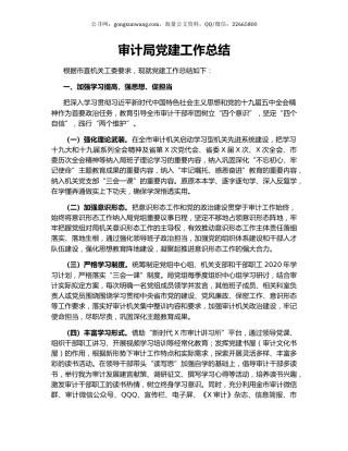 审计局党建工作总结.docx
