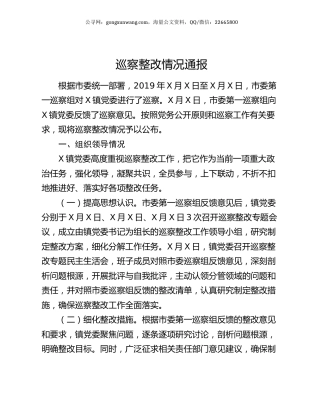 巡察整改情况通报.docx
