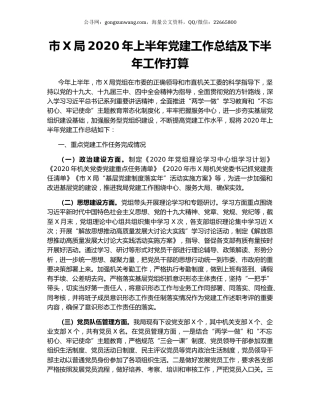 市X局2020年上半年党建工作总结及下半年工作打算.docx