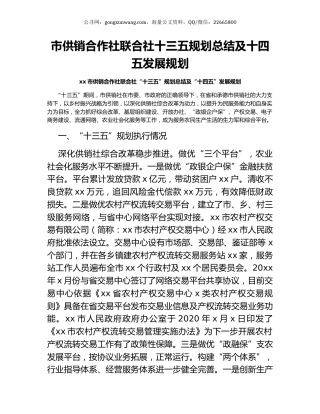 市供销合作社联合社十三五规划总结及十四五发展规划.docx